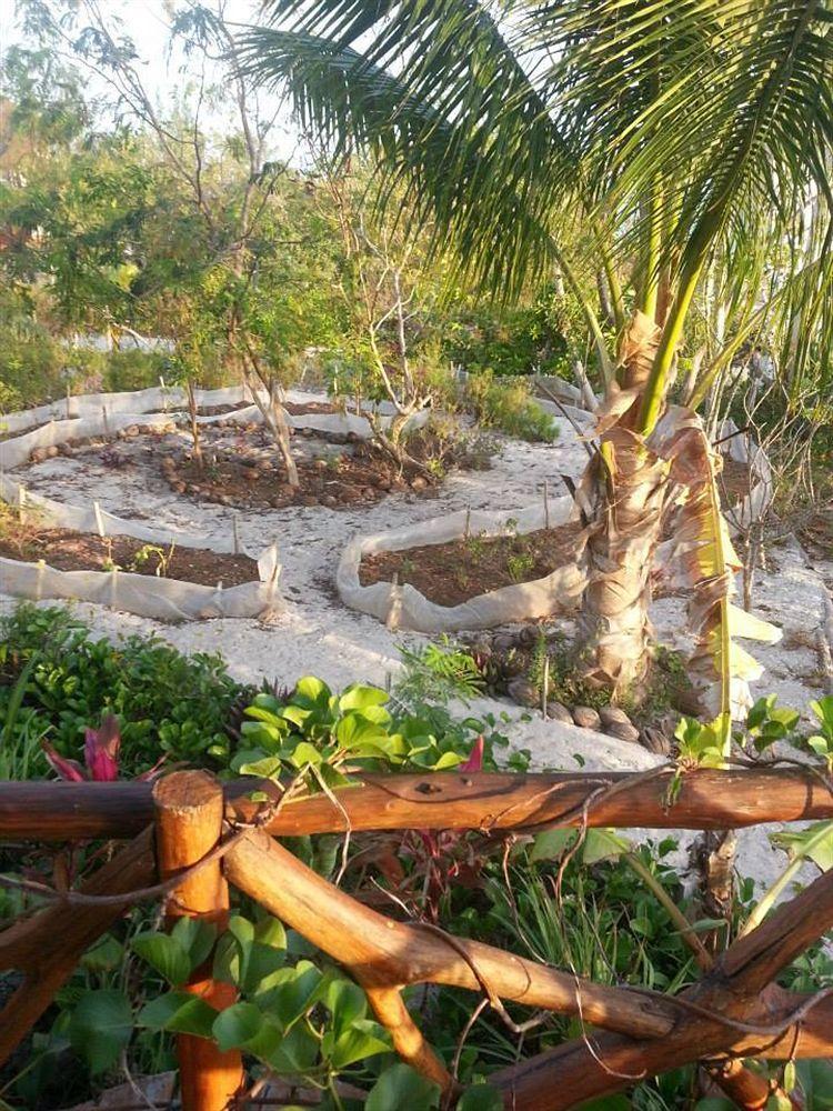 Blatha Tropical Rooms Holbox Екстериор снимка