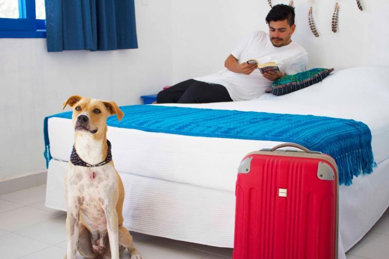 Blatha Tropical Rooms Holbox Екстериор снимка